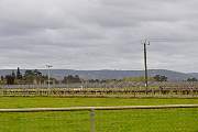 DSC_0093.JPG