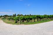 DSC_0217.JPG