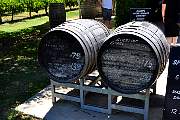DSC_0220.JPG